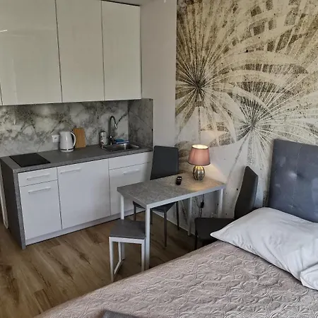 Flou 81, Parking & 700m Plaza * Danzica